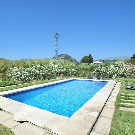 Owl Penaso - Dream Pool And Royal Garden Pollença